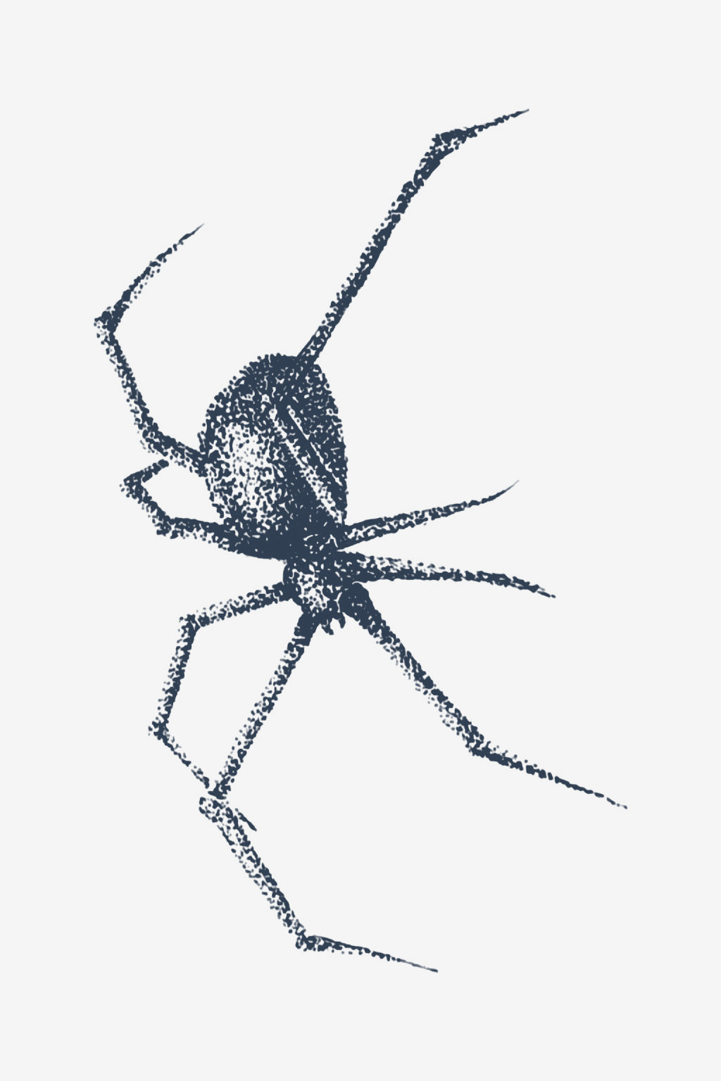 Tessitore
