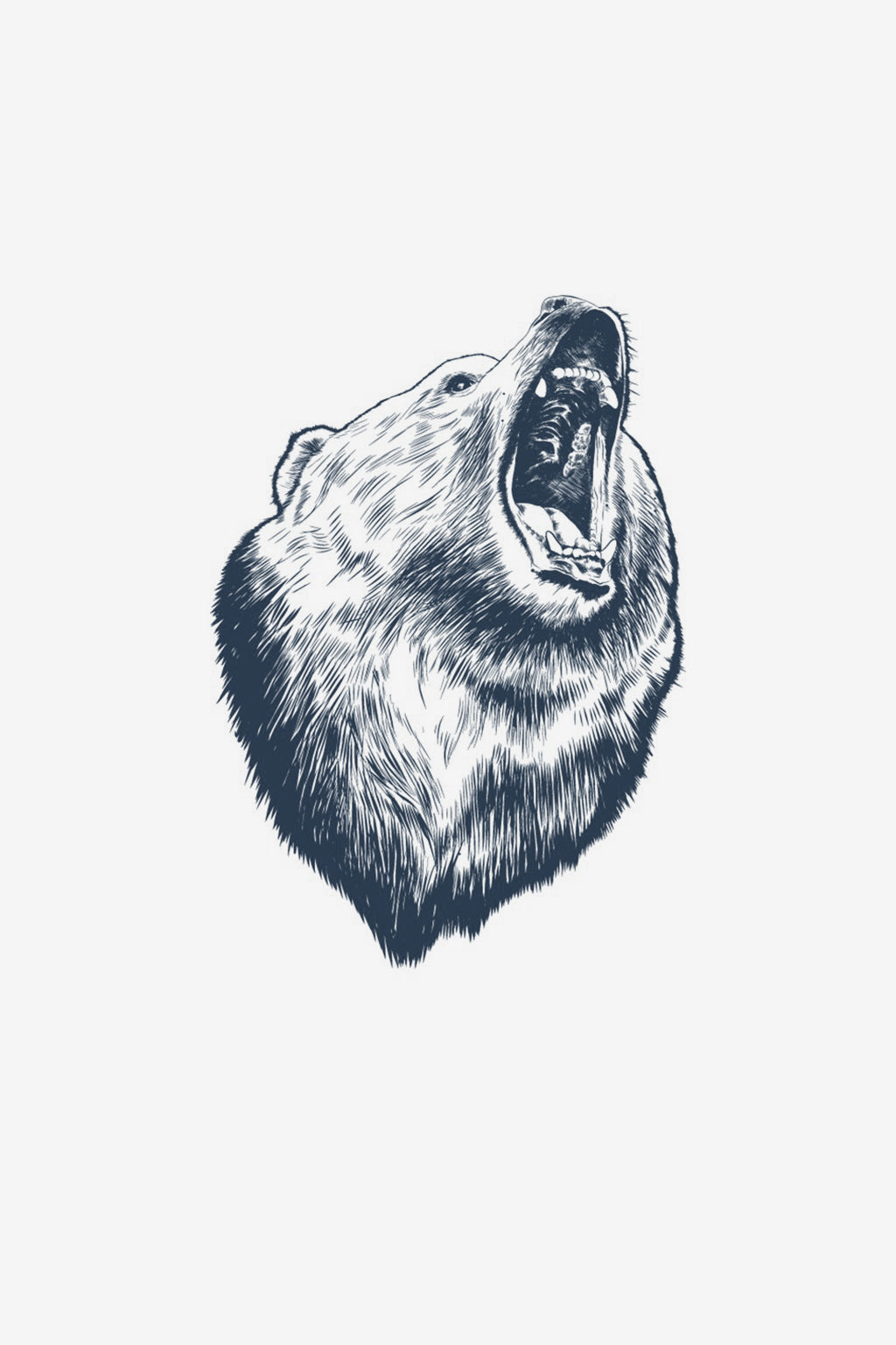 Spirito della foresta