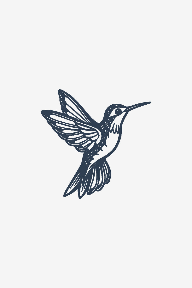 Il colibrì