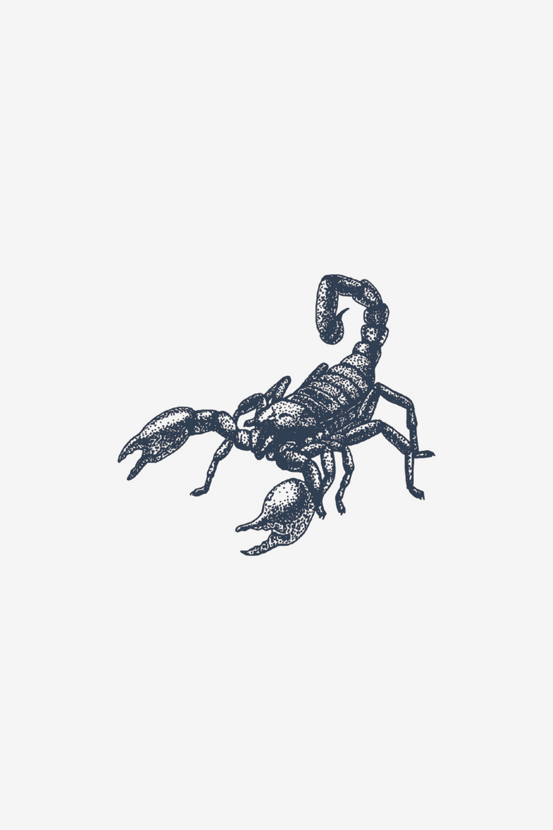 Scorpione