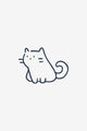 Piccolo gatto