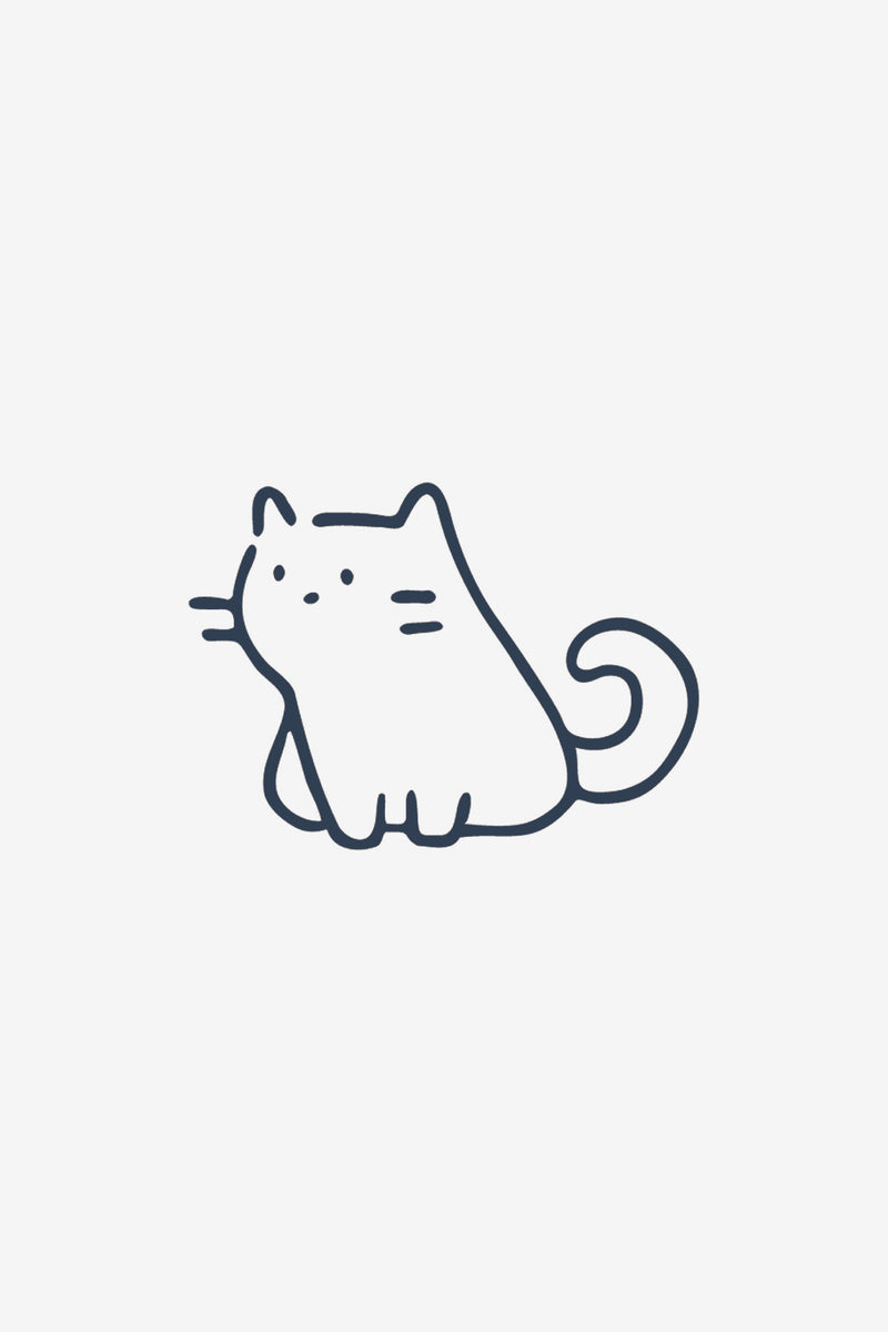 Piccolo gatto