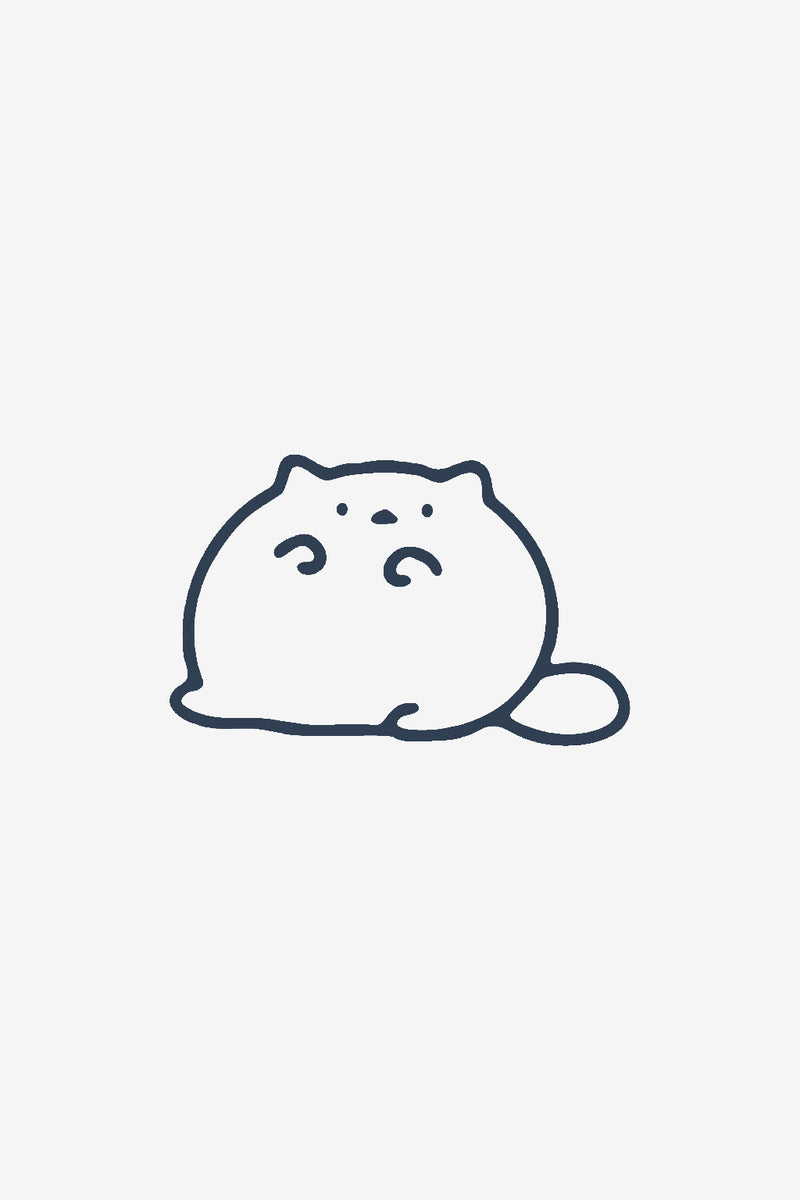 Fluffy il gatto