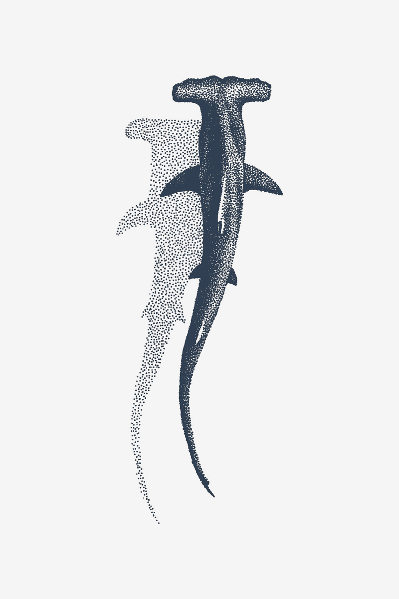 Ombra della Marina