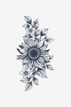 Solare