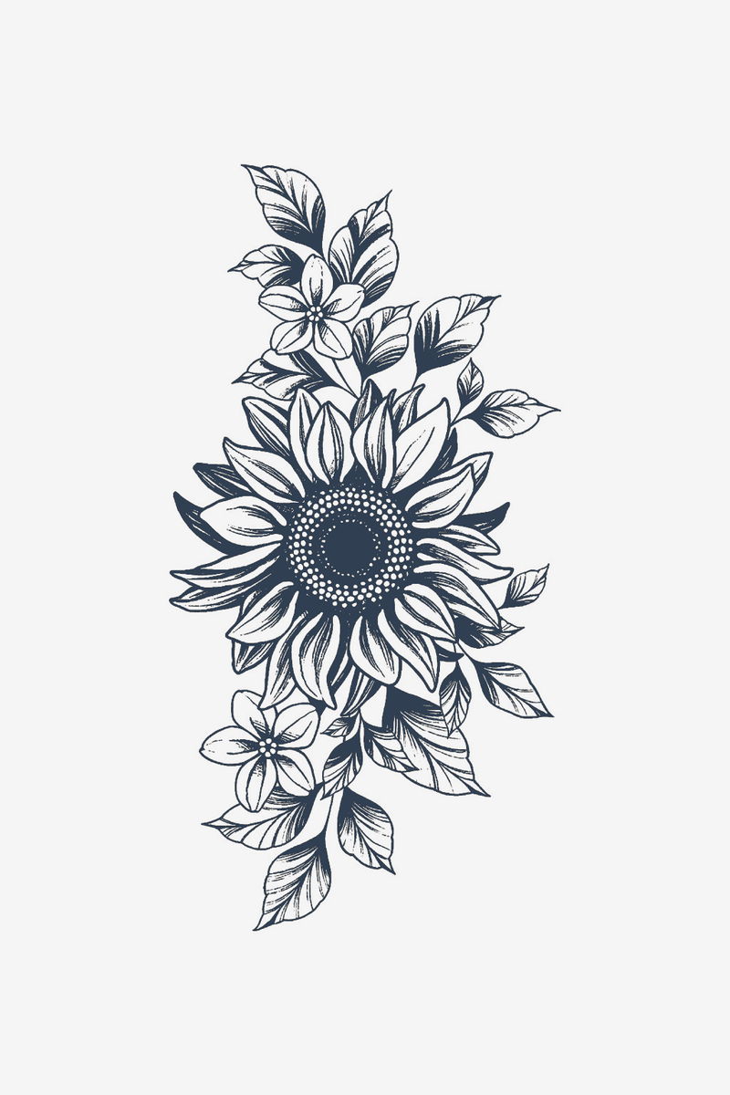 Solare