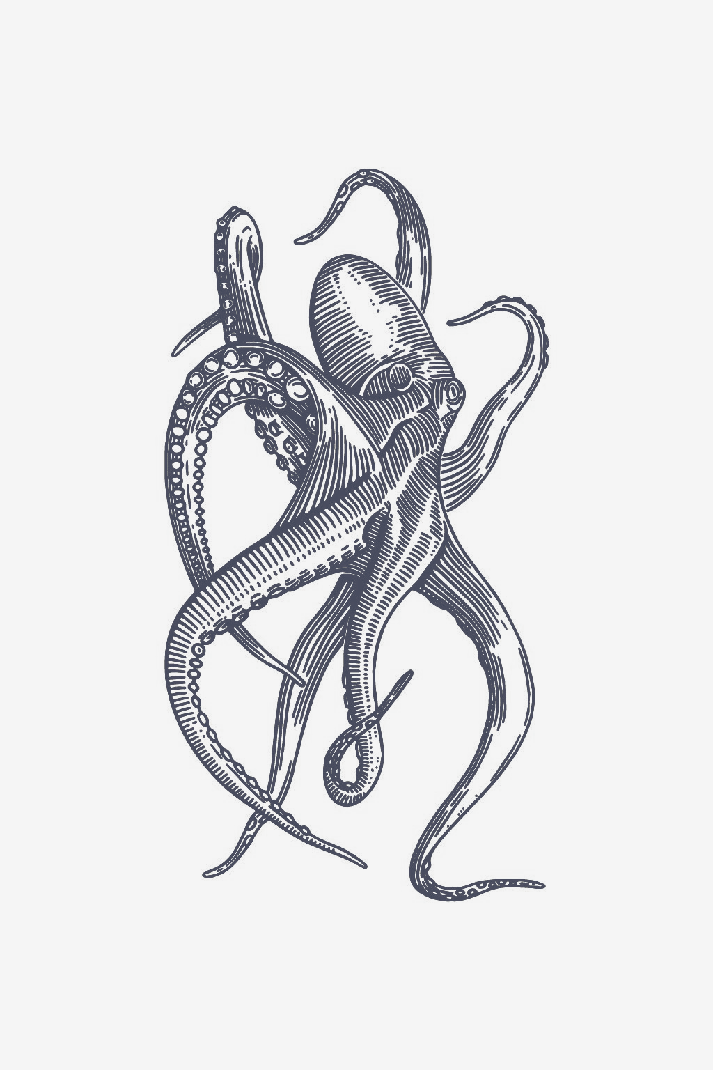 L'abbraccio della Marina