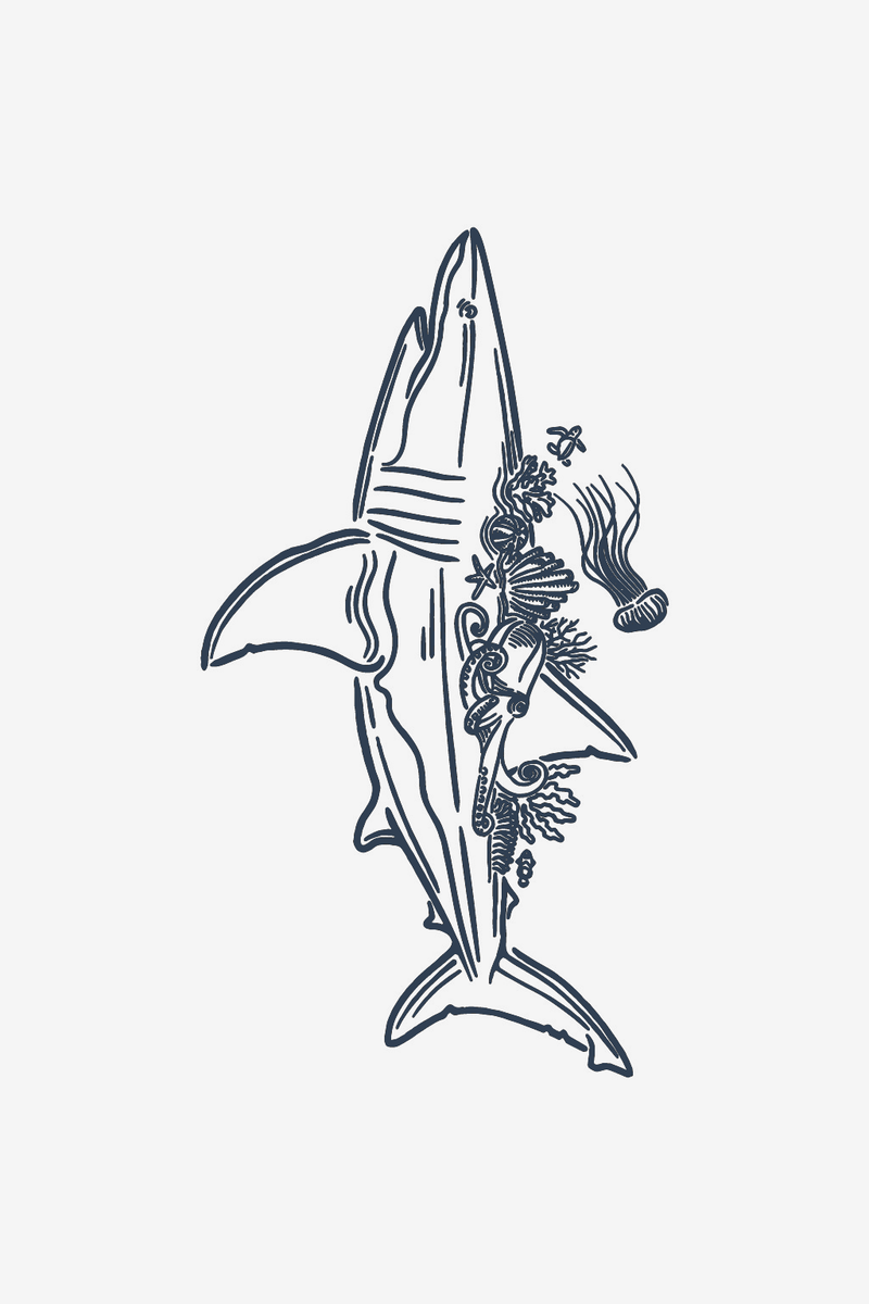 Oceano