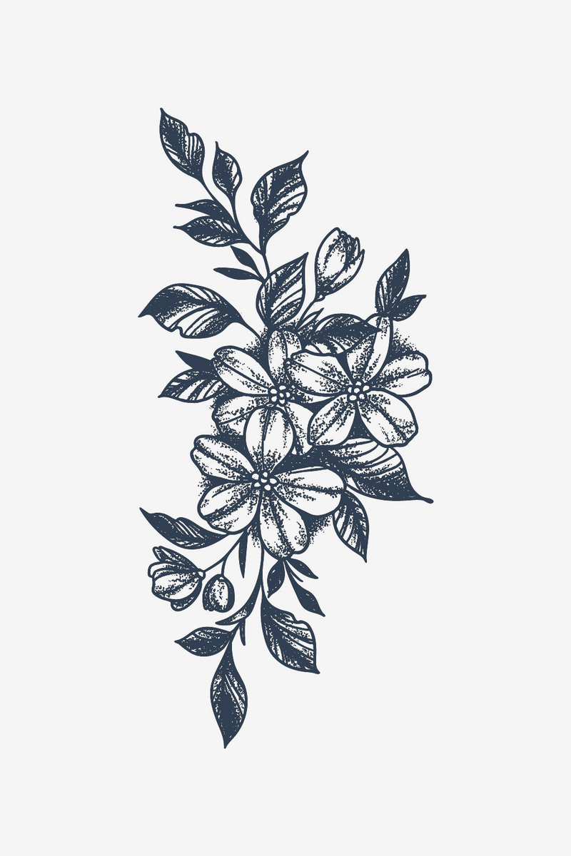 Armonia