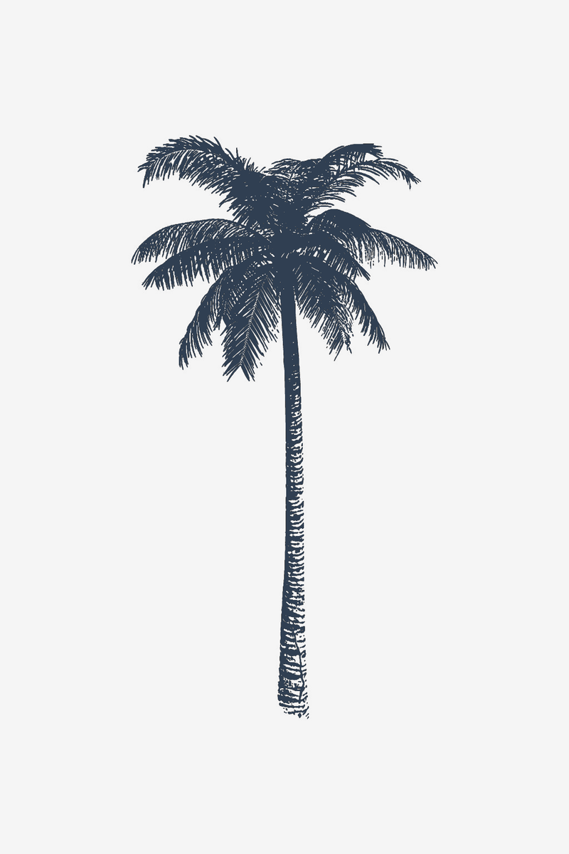 Paradiso tropicale