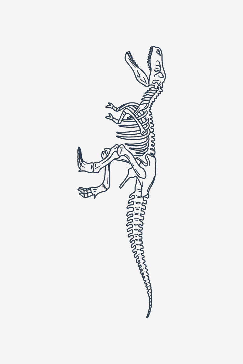 Scheletro di T-Rex