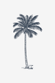 Cocco