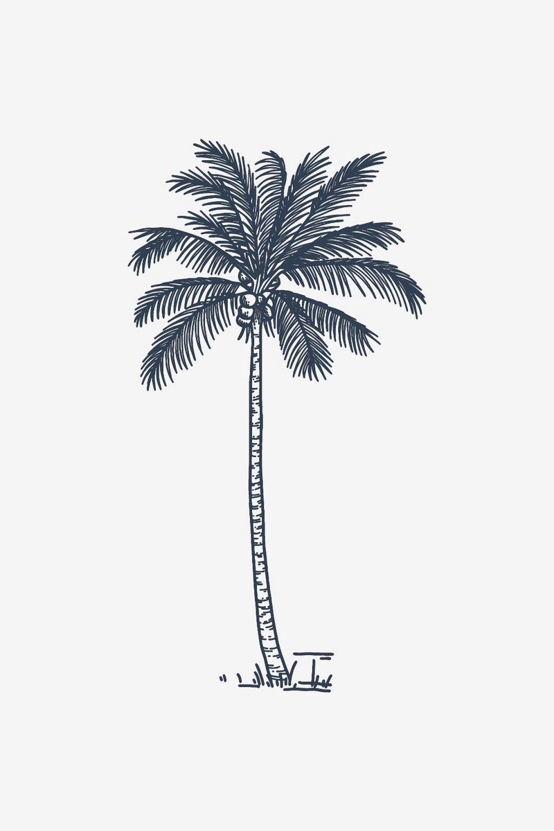 Cocco