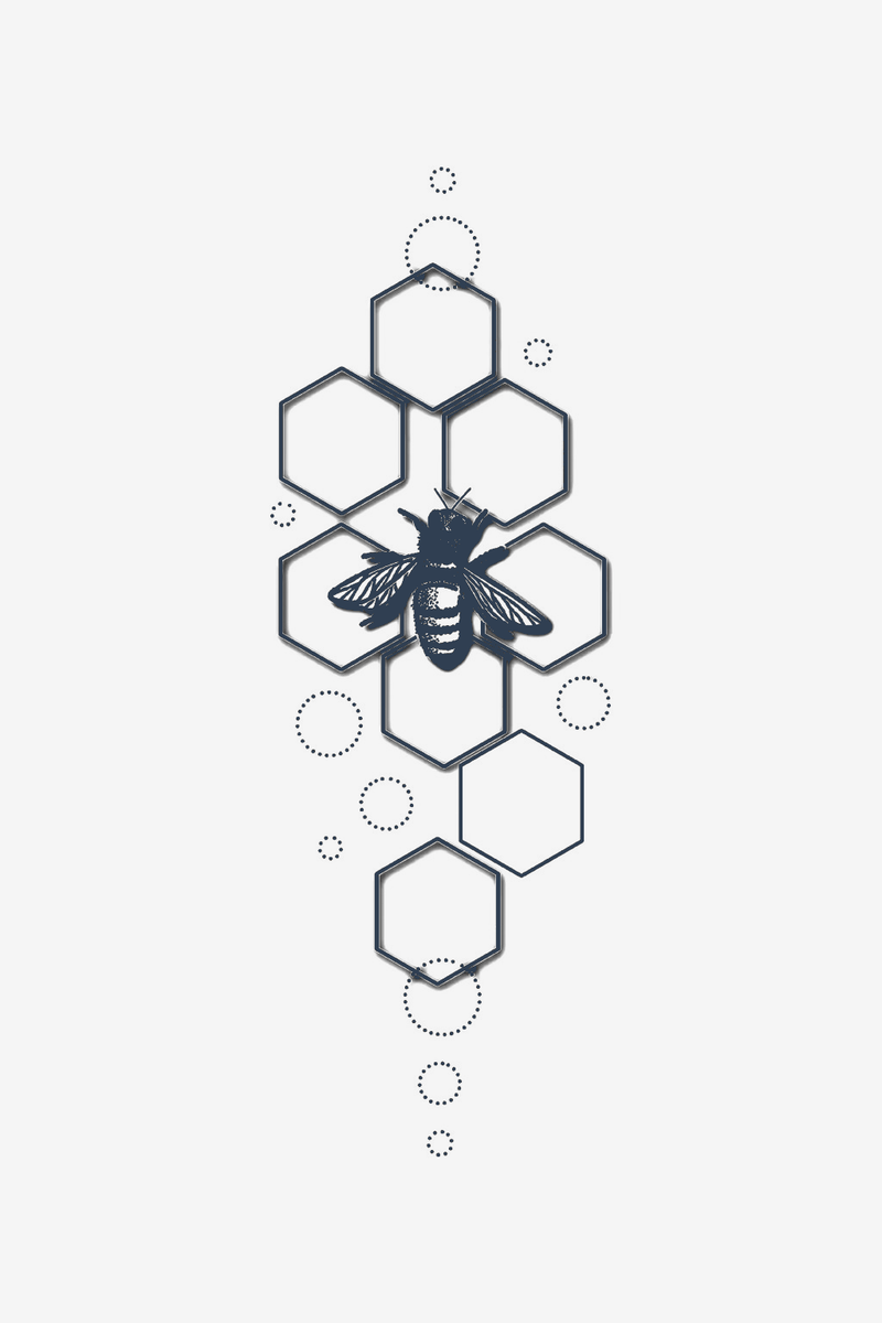 Geometria naturale