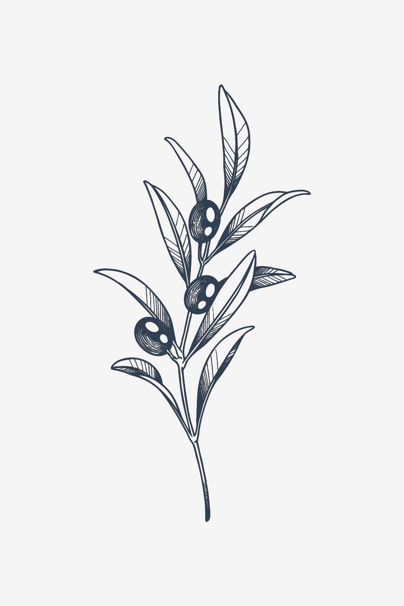 Oliva