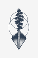 Conifera