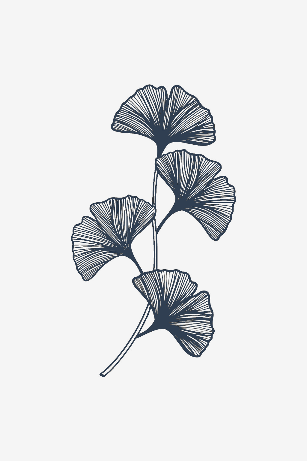 Il ventaglio della vita