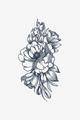 Peonia