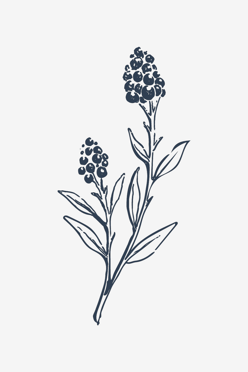 Fiori selvatici