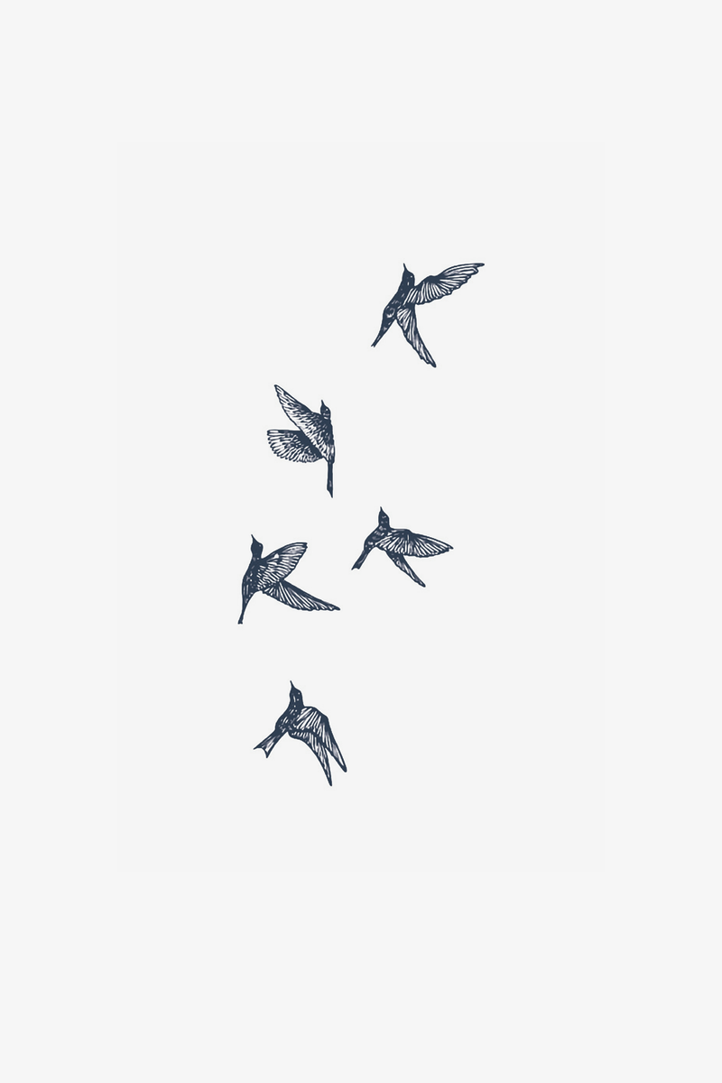 Uccelli