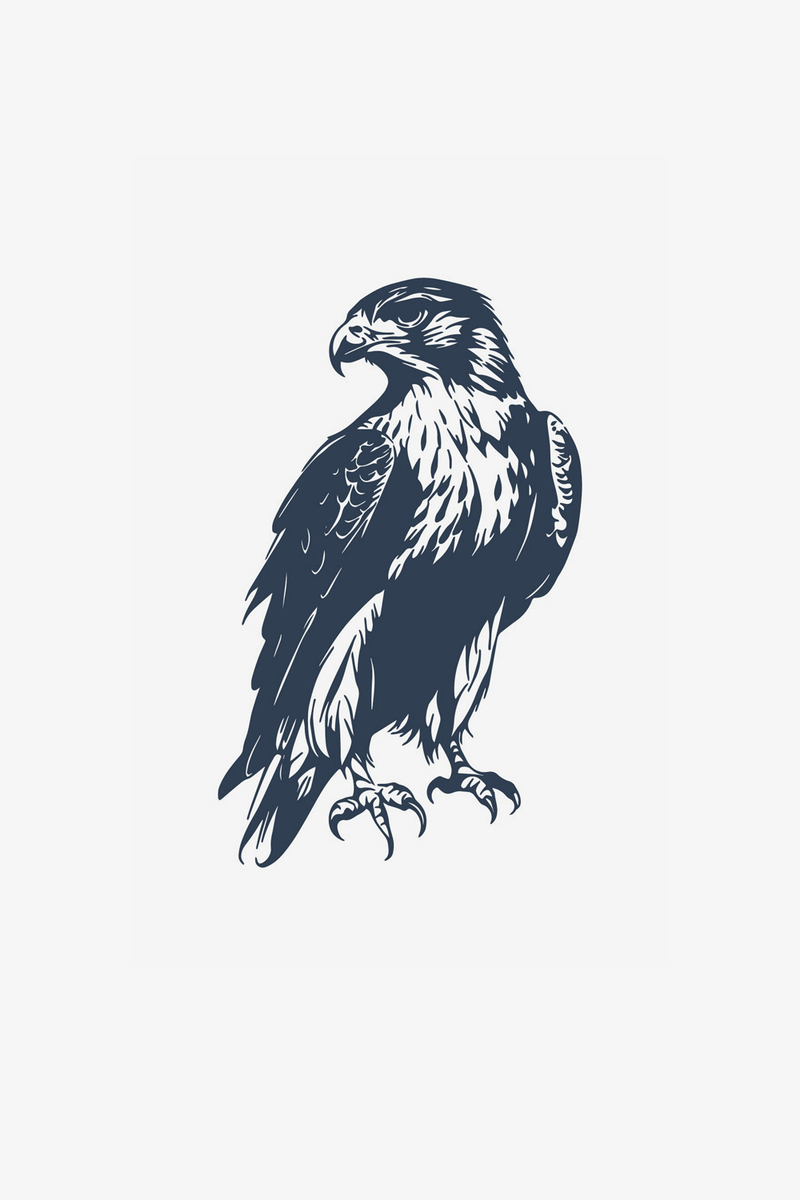 Aquila