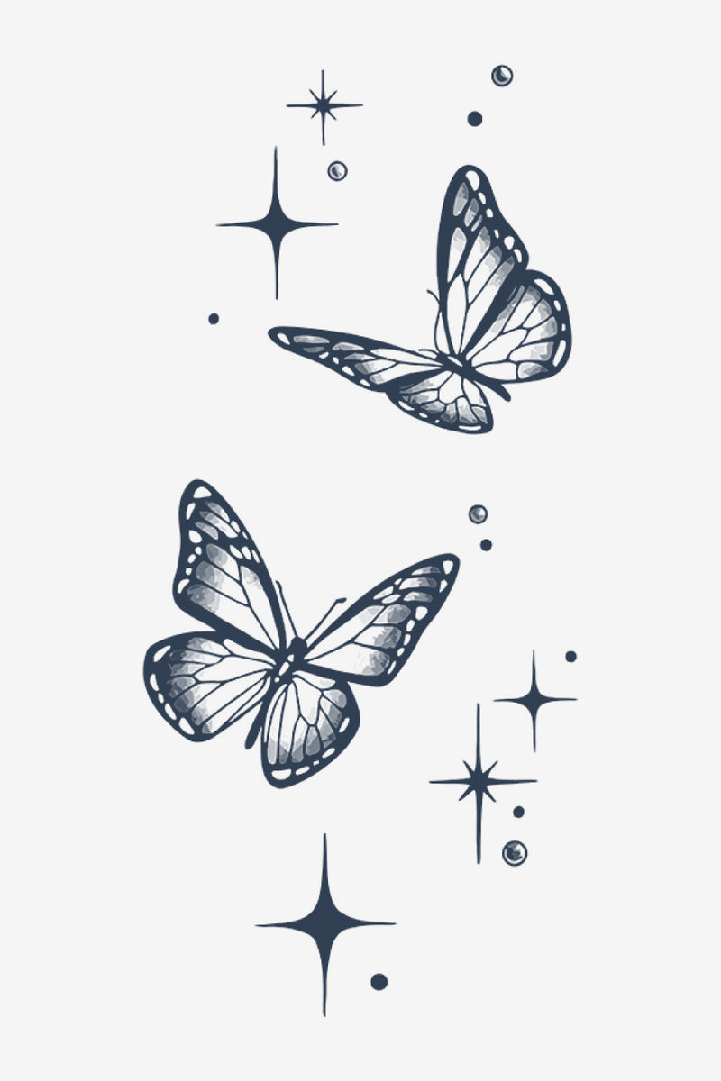 Volo delle stelle