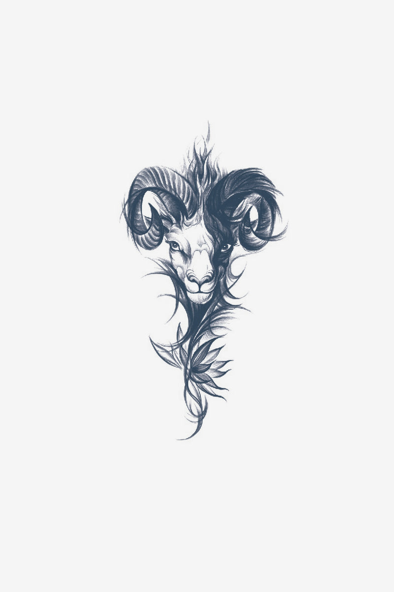Ariete