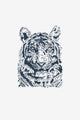 Tigre