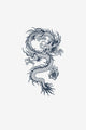 Drago 3