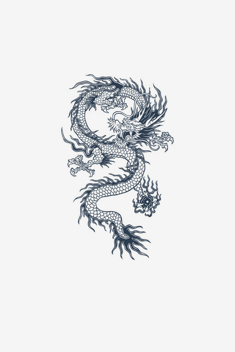 Drago 3