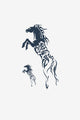Cavallo