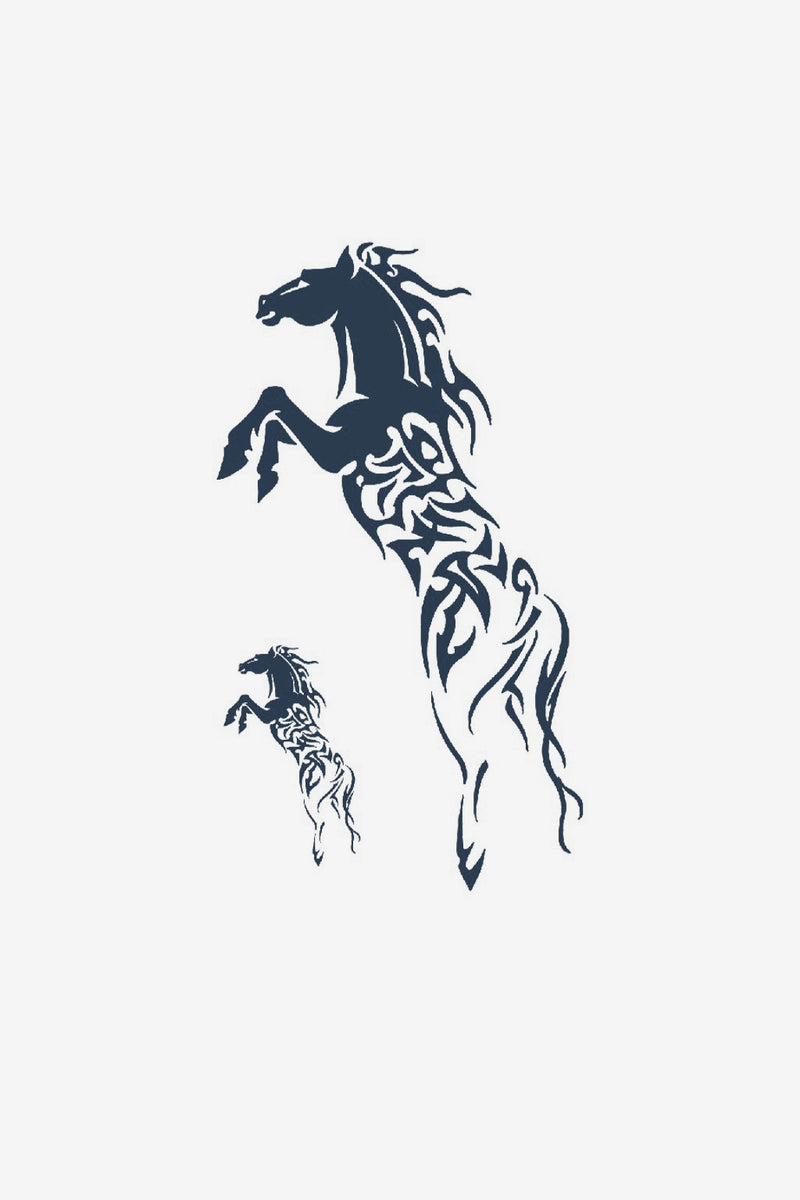 Cavallo