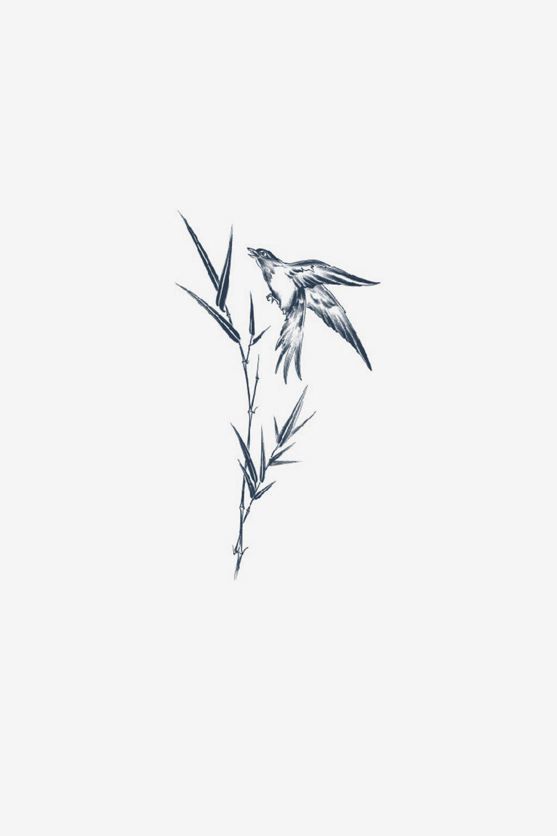 Volo