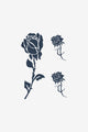Rose notturne