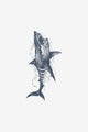 Predatore