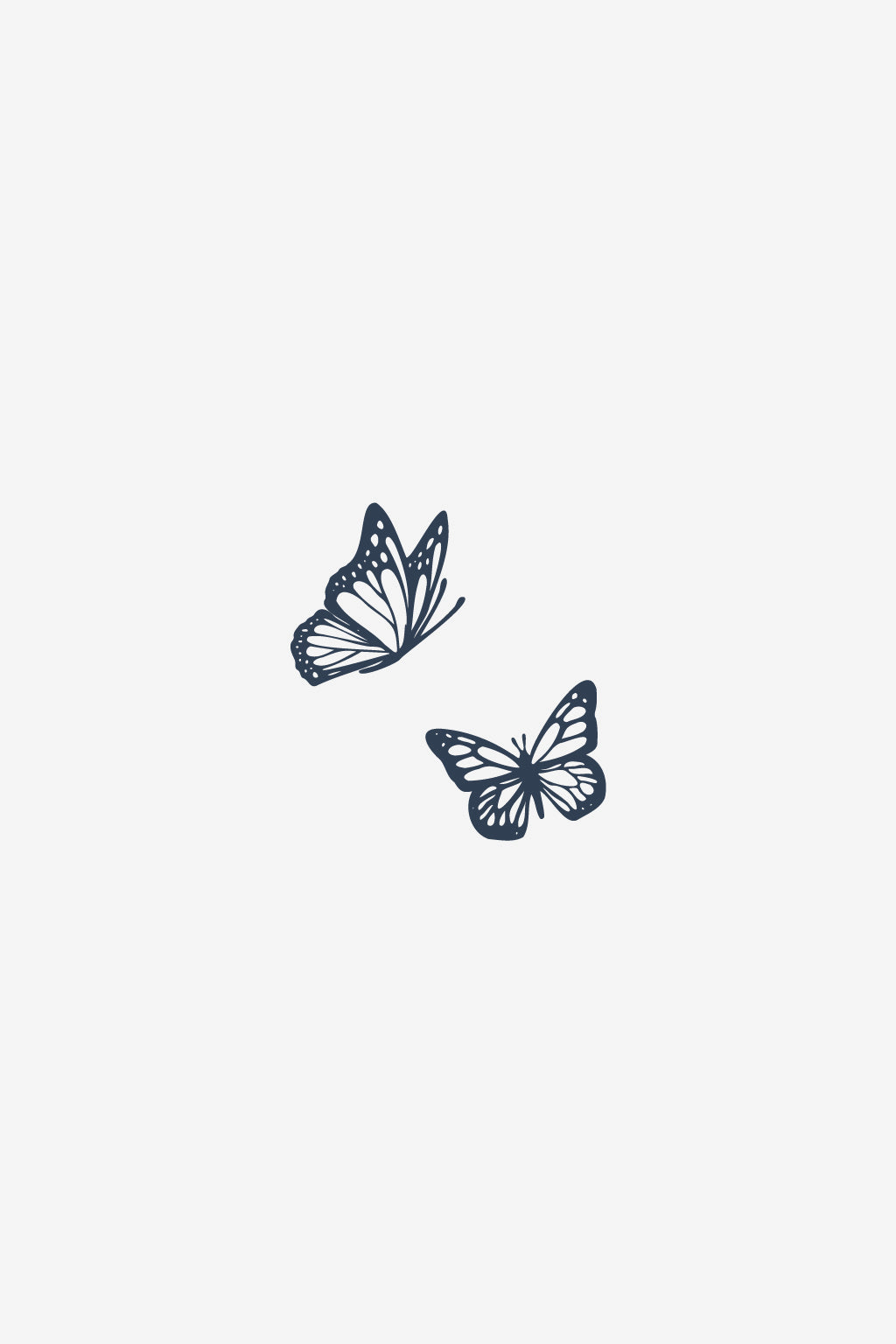 Doppio volo