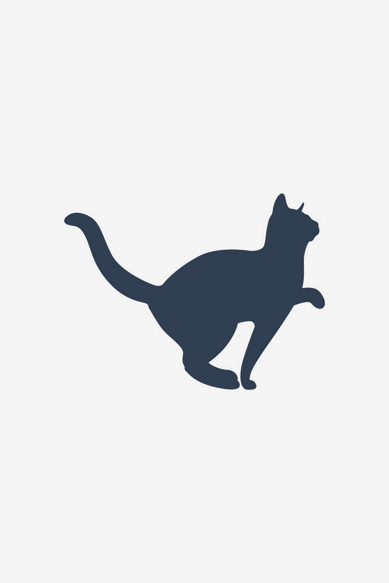 Gatto 2