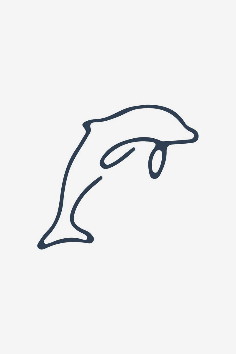 Delfino