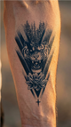 La forza della tigre