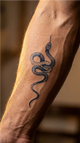 Serpente grazioso
